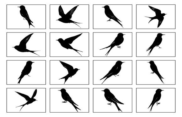 Swift Bird Silhouette Vector Set Review